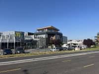 Corentin HAGUE - ATELIER BONOBO